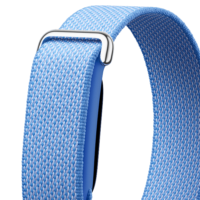 Google Fitbit Air