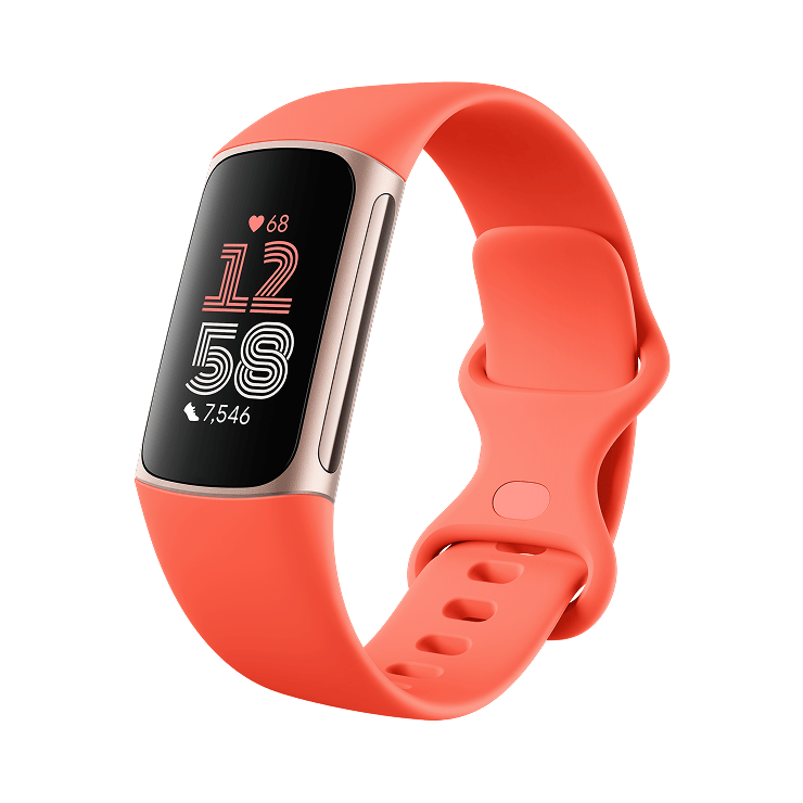Google Fitbit Charge 6